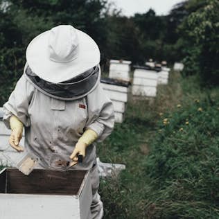 Haute-Savoie honey tasting activity in Morzine 