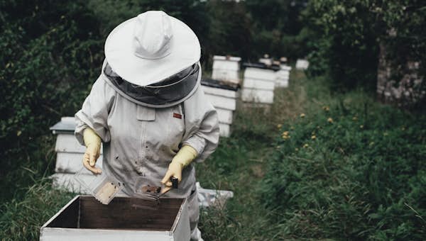 Haute-Savoie honey tasting activity in Morzine 