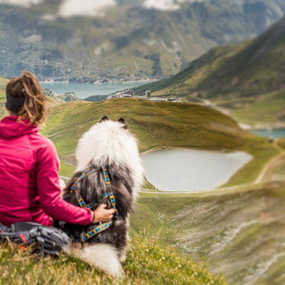 Woman in a pink jacket sitting with a large dog, overlooking a mountainous landscape with lakes in the background during a summer holiday.
