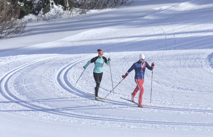 Cross-country skiers on the Peisey-Vallandry Nordic site