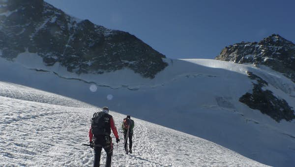 add Alt image to SEO