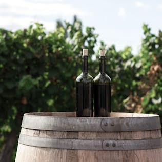 Two wine bottles on an old wooden barrel with a lush vineyard in the background.