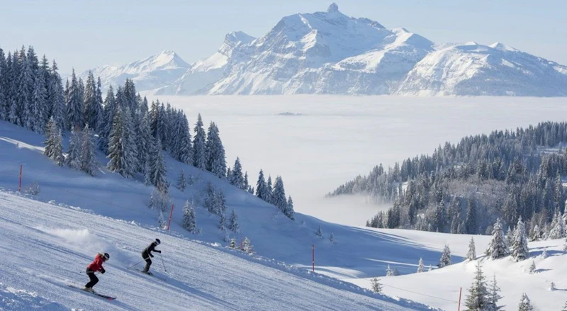 Everything You Need to Know About Skiing in Les Gets | Emerald Stay Everything You Need to Know About Skiing in Les Gets | Emerald Stay