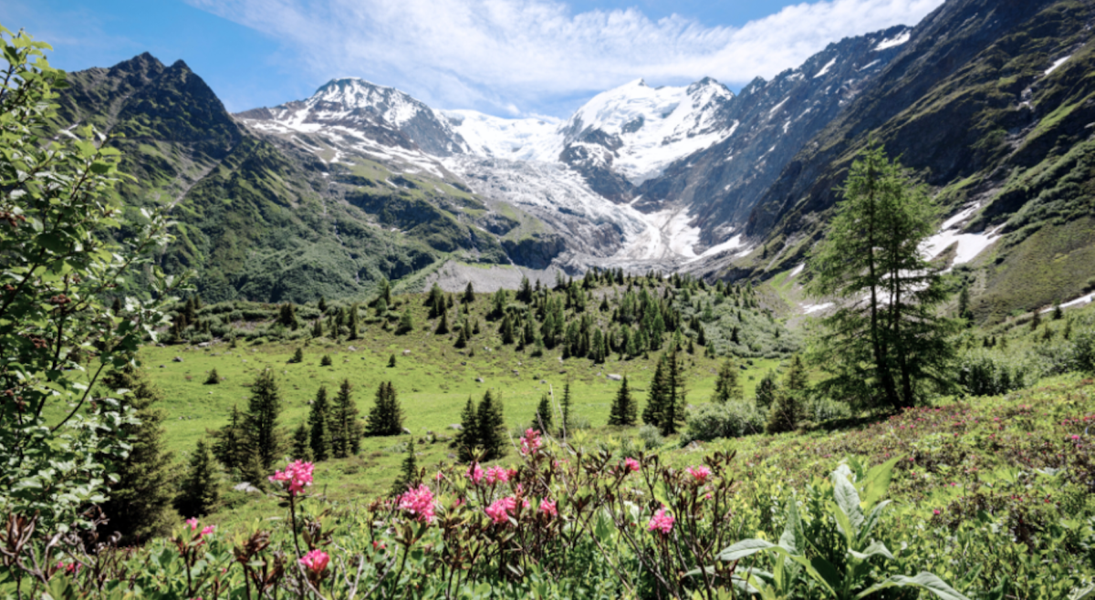 Les vacances d'été dans les Alpes | Emerald Stay Les vacances d'été dans les Alpes | Emerald Stay