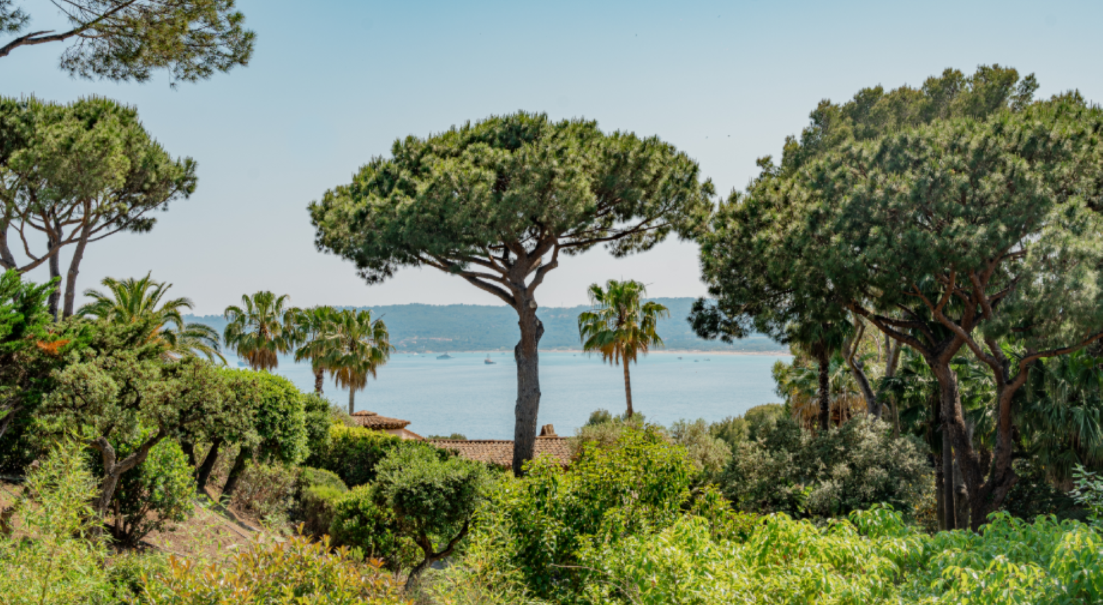 L'histoire d'amour du monde avec Saint-Tropez L'histoire d'amour du monde avec Saint-Tropez