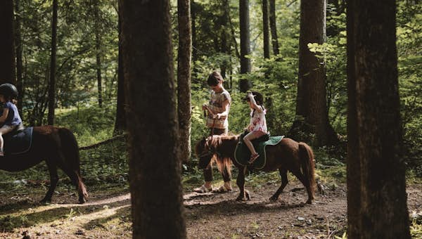 Horseback riding activity in the Derêches park in Morzine 