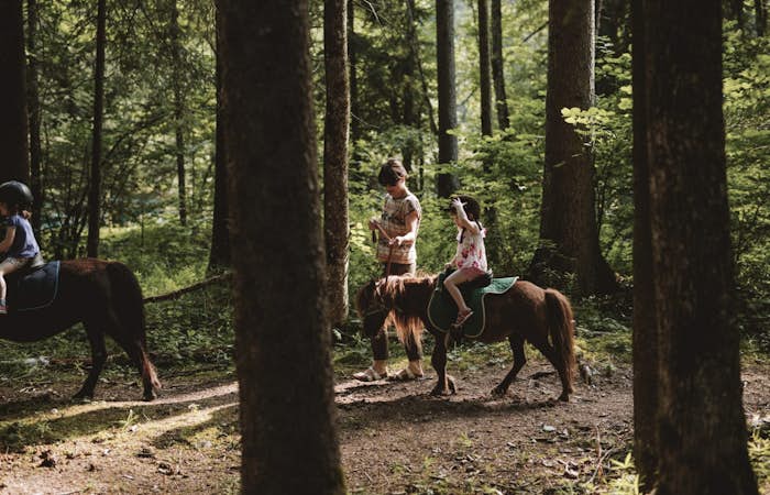 Horseback riding activity in the Dérêches park in Morzine 