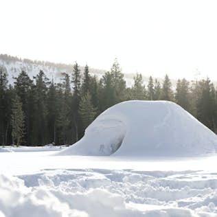 A snow-covered igloo in a winter landscape with a forest in the background under a bright sky.