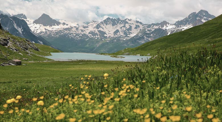 A view of a grassy meadow with yellow flowers in the foreground, leading to a serene lake surrounded by snow-capped mountains under a partly cloudy sky.