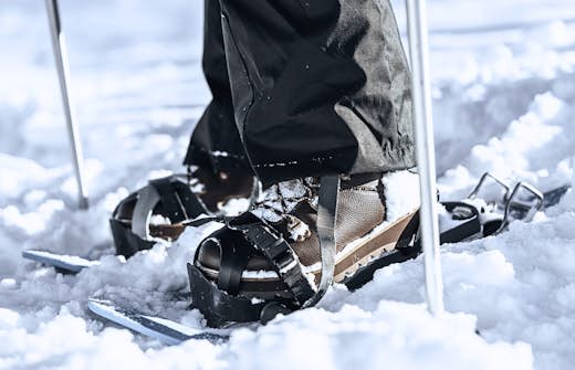 Person on snowy ground, gripping ski poles.