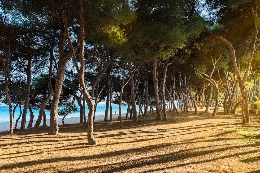 Majorque location - Villa Mediterrania I  - villa de luxe Mediterrania avec accès à la plage à Mallorca