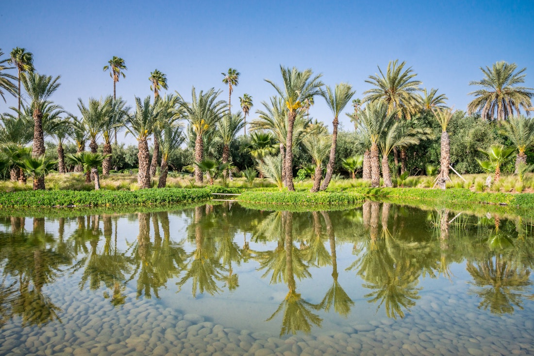 Private lake with palm trees at Marhba luxury private villa in Marrakech