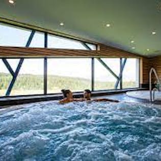 Two people relaxing in a large indoor hot tub with expansive windows overlooking a lush, green landscape.