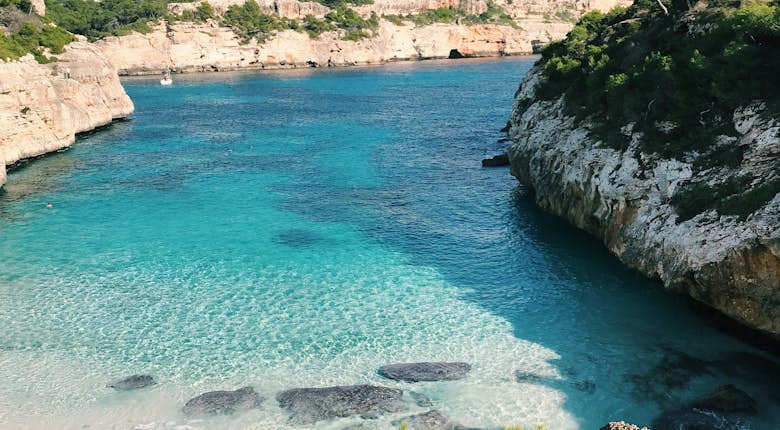A beach with clear water and trees.