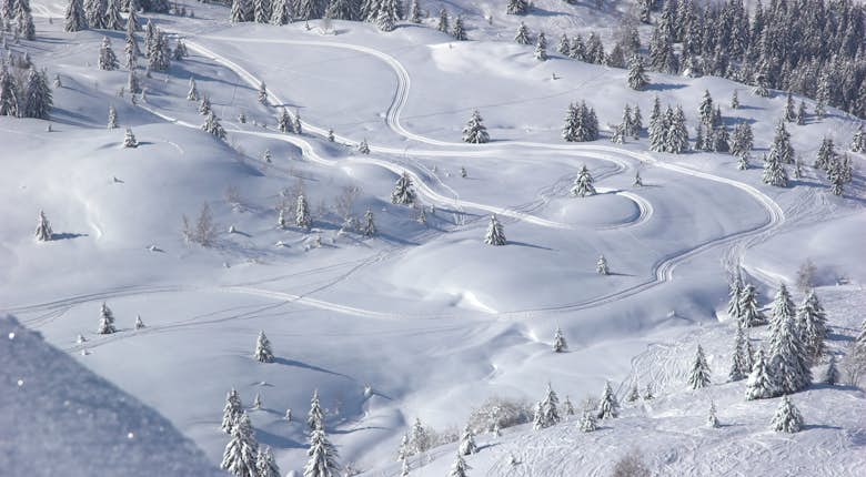 Snow-covered landscape with winding ski tracks and sparse trees, under a clear sky.