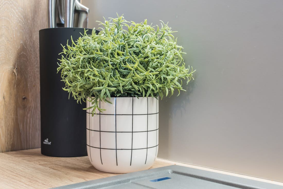 Plante verte pot blanc quadrillé appartement de luxe Meranti Morzine
