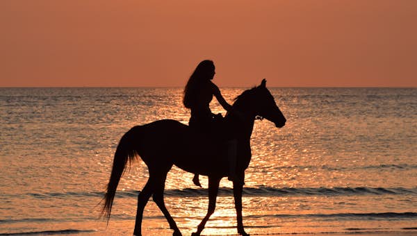 A person riding a horse on the beach at sunset