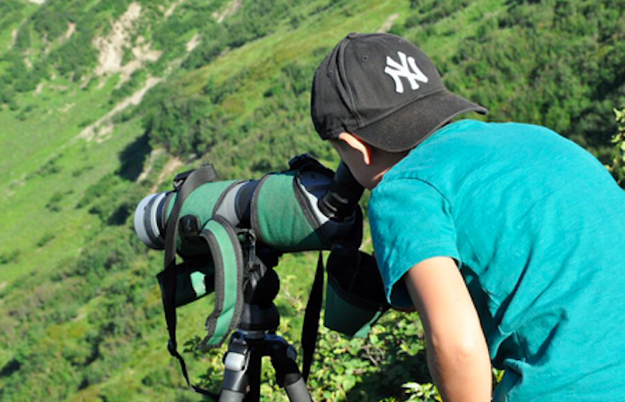 Man looking wildlife fauna discovery activity Les Carroz