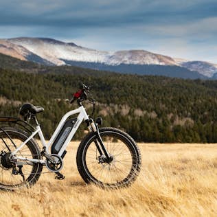 Electric mountain bike parked on a grassy field with snowy mountains in the background under a cloudy sky.