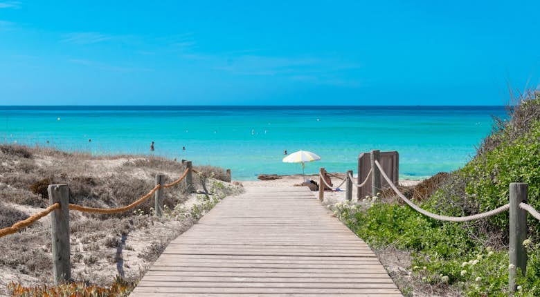A wooden walkway leading to the beach.