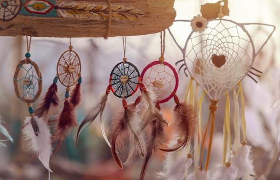 A group of dream catchers hanging from a tree.