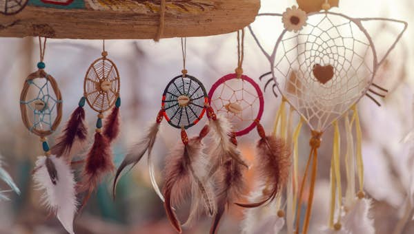 A group of dream catchers hanging from a tree.