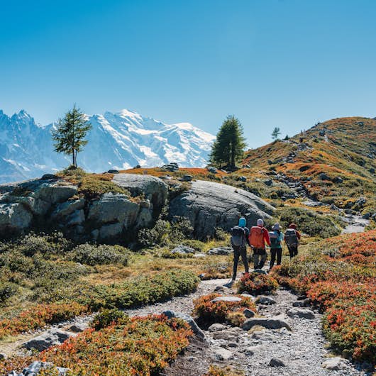 Group of hikers on a trail with autumn coulours and a snowy mountain in the background