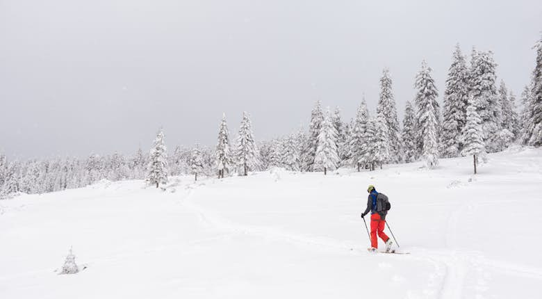A skier in a yellow helmet and red pants glides through a snow-covered landscape with dense, snow-laden trees under a cloudy sky.