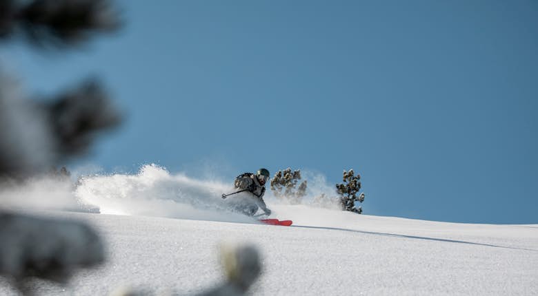 A skier descends a snow-covered slope on a clear day, leaving a trail of snow powder behind. Trees and clear blue sky are in the background.