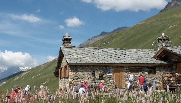The Vanoise National Park to visit in Peisey-Vallandry