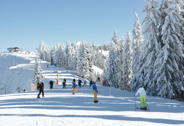Ski Carroz d'Arâches