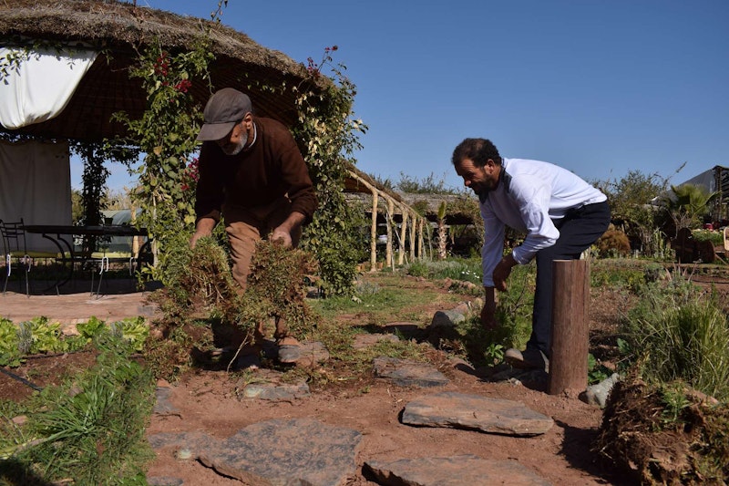 A visit at Mokhtar's farm is one of the best off the beaten path activities in Marrakech 